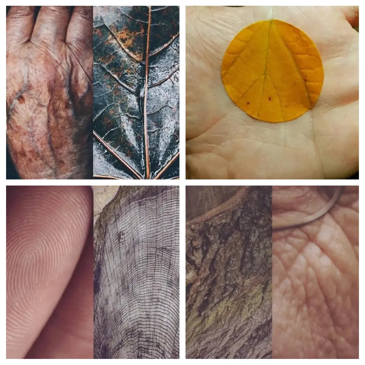 Imágenes que demuestran la cercanía entre Humanidad y naturaleza 